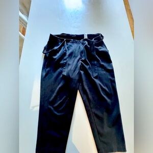 Capri wide leg Banana Republic pants 2x